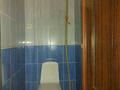 Отдельный дом · 4 комнаты · 120 м² · 7 сот., Балпык би 51а — Кульджинсский тракт за 37 млн ₸ в Алматы — фото 12