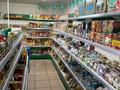 Магазины и бутики · 130 м² за 17.5 млн ₸ в Железинке — фото 2