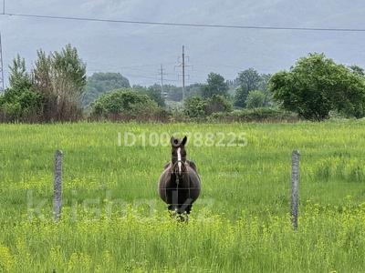 Участок · 6 соток, мкр Алатау (ИЯФ) за 7.5 млн 〒 в Алматы, Медеуский р-н
