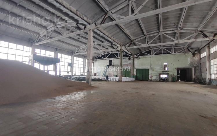 Өнеркәсіптік база · 3500 сотық, Сенобаза 24 а, бағасы: 100 000 ₸ в Щучинске — фото 2