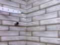 2-комнатная квартира · 43.5 м² · 6/12 этаж, Рыскулбекова 31/1 — ЕНУ , Евразия, Орбита, 7 Поликлиника, Встреча за 23.5 млн ₸ в Астане, Алматы р-н — фото 27