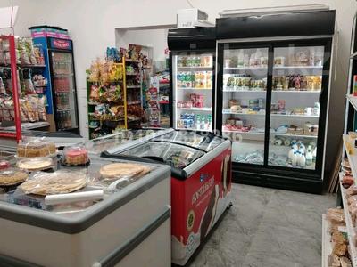 Продуктовый магазин · 100 м², бағасы: 15.5 млн ₸ в Астане, Сарайшык р-н
