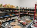 Продуктовый магазин · 100 м², бағасы: 15.5 млн ₸ в Астане, Сарайшык р-н — фото 14