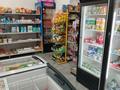 Продуктовый магазин · 100 м², бағасы: 15.5 млн ₸ в Астане, Сарайшык р-н — фото 16