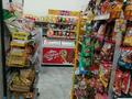 Продуктовый магазин · 100 м², бағасы: 15.5 млн ₸ в Астане, Сарайшык р-н — фото 17