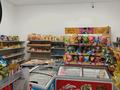 Продуктовый магазин · 100 м², бағасы: 15.5 млн ₸ в Астане, Сарайшык р-н — фото 19