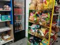 Продуктовый магазин · 100 м², бағасы: 15.5 млн ₸ в Астане, Сарайшык р-н — фото 25