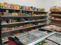 Продуктовый магазин · 100 м², бағасы: 15.5 млн ₸ в Астане, Сарайшык р-н — фото 3