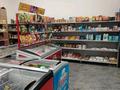 Продуктовый магазин · 100 м², бағасы: 15.5 млн ₸ в Астане, Сарайшык р-н — фото 5