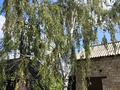 Отдельный дом · 3 комнаты · 60 м² · 6 сот., Пришахтинск, Павлова за 17 млн ₸ в Караганде, Алихана Бокейханова р-н — фото 5