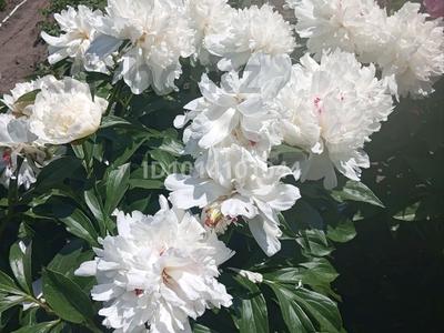 Жеке үй · 3 бөлме · 85 м² · 6 жүзд., Переулок Нефтяной, бағасы: 12 млн ₸ в Усть-Каменогорске