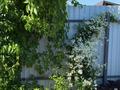 Отдельный дом · 5 комнат · 146.5 м² · 15 сот., Энтузиастов 15 — Сорокинский район, с.Б.Сорокино за 42 млн 〒 в Тюмени — фото 22
