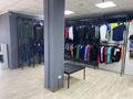 Свободное назначение · 70 м² за 400 000 ₸ в Астане, Алматы р-н — фото 13