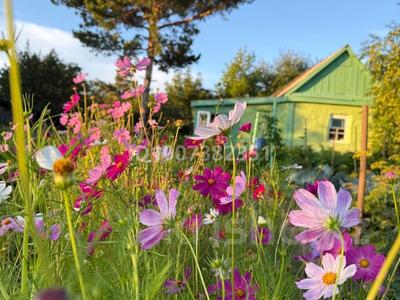 Дача · 1 комната · 20 м² · 6 сот., Вишневая 419 за 1 млн 〒 в Темиртау