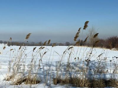 Жер телімі · 777 сотық, Шымбулак 72, бағасы: 600 млн 〒 в Каскелене