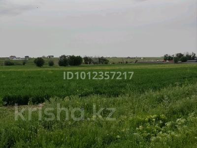 Участок · 2 га, Енбек 17 а — На против мечети поля от трассы 900 метров за 80 млн ₸ в Шамалгане