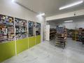 Свободное назначение, магазины и бутики · 160 м² за 90 млн ₸ в Талгаре — фото 5