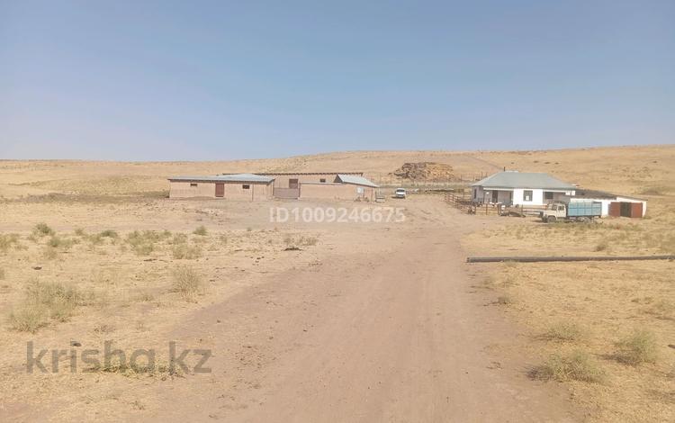 Жер телімі · 600 га, Казыгурт, бағасы: 200 млн 〒 — фото 2