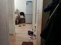 2-комнатная квартира · 44 м² · 3/5 этаж, Радостовца — Карасай батыра за 35.6 млн ₸ в Алматы, Алмалинский р-н — фото 15