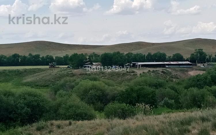 Жер телімі · 6 га, Ұзынағаш, бағасы: 11 млн ₸ в Узынагаш — фото 2