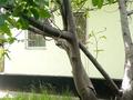 Отдельный дом · 8 комнат · 109 м² · 6.5 сот., Переулок Винтера 18 — Великолукского за 60 млн ₸ в Алматы, Жетысуский р-н — фото 3