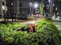 3-комнатная квартира · 100.4 м² · 8/12 этаж, Мухамедханова 4/3, — Видовая за 105 млн ₸ в Астане, Нура р-н — фото 25