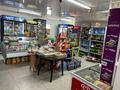 Магазины и бутики · 149 м² за 27 млн ₸ в  — фото 3
