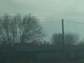 Участок · 5 соток, Квартал 1 52 за 7.3 млн ₸ в Жайнак (Комсомоле) — фото 5
