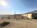 Сельское хозяйство · 1200 м² за 110 млн ₸ в Шымкенте, Абайский р-н — фото 20