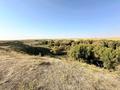 Сельское хозяйство · 1200 м² за 110 млн ₸ в Шымкенте, Абайский р-н — фото 27