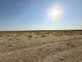 Сельское хозяйство · 1200 м² за 110 млн ₸ в Шымкенте, Абайский р-н — фото 28