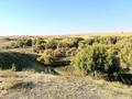 Сельское хозяйство · 1200 м² за 110 млн ₸ в Шымкенте, Абайский р-н — фото 32