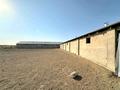Сельское хозяйство · 1200 м² за 110 млн ₸ в Шымкенте, Абайский р-н — фото 33
