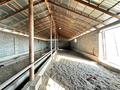 Сельское хозяйство · 1200 м² за 110 млн ₸ в Шымкенте, Абайский р-н — фото 6