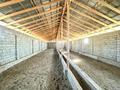 Сельское хозяйство · 1200 м² за 110 млн ₸ в Шымкенте, Абайский р-н — фото 7