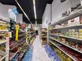Магазины и бутики · 106 м² за 280 млн ₸ в Астане, Нура р-н — фото 4