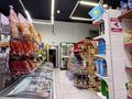 Магазины и бутики · 106 м² за 280 млн ₸ в Астане, Нура р-н — фото 7