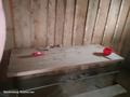Отдельный дом · 4 комнаты · 50 м² · 62 сот., Берлик 32 — В начале деревни за 5.5 млн ₸ в  — фото 3
