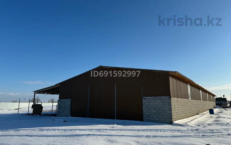 Сельское хозяйство · 1000 м² за 270 млн ₸ в Жаналык (Талгарский район) — фото 8