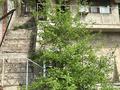 Жер телімі · 1.29 га, мкр Ерменсай — Арайлы Жанакорган, бағасы: 1.2 млрд ₸ в Алматы, Бостандыкский р-н — фото 3