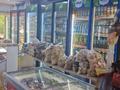 Магазины и бутики · 73 м² за 100 млн ₸ в Усть-Каменогорске, Ульбинский — фото 5