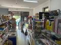 Магазины и бутики • 84 м² за 33.5 млн 〒 в Таразе — фото 6
