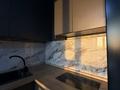 1-бөлмелі пәтер · 52 м² · 8/13 қабат, Муратбаева 14, бағасы: 350 000 ₸ в Алматы, Алмалинский р-н — фото 13