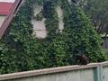 Дача · 2 комнаты · 30 м² · 6 сот., Экран 37 — Карасайский раойн Верхняя Каскеленская трасса Долан за 14 млн ₸ в Алматинской обл. — фото 7