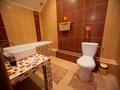 Отдельный дом · 6 комнат · 317.6 м² · 6.89 сот., Юго-западный берег озера Щучье 33 — Отель Алатау за 270 млн 〒 в Щучинске — фото 15