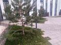 1-комнатная квартира · 42 м² · 3/4 этаж, мкр Нуршашкан (Колхозши), Санлак за 26 млн ₸ в Алматы, Турксибский р-н
