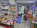 Отдельный дом · 5 комнат · 110 м² · 8 сот., мкр Самал-3 16/48 — Возле 6 полекленике за 135 млн ₸ в Шымкенте, Абайский р-н — фото 3