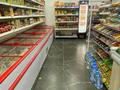 Магазины и бутики · 150 м² за 50 млн ₸ в Рудном — фото 11