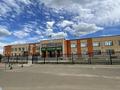 Отдельный дом · 4 комнаты · 165 м² · 10 сот., Аль-Фараби 10 — Сарыжар Жайлы Мектеп за 12.5 млн ₸ — фото 10