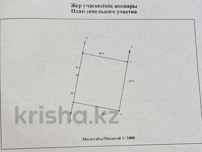 Продажа участков в Акмолинской обл.: Участок · 1 га, Туран 1 за 95 млн 〒 Участок · 1 га, Туран 1 за 95 млн 〒 в Косшы